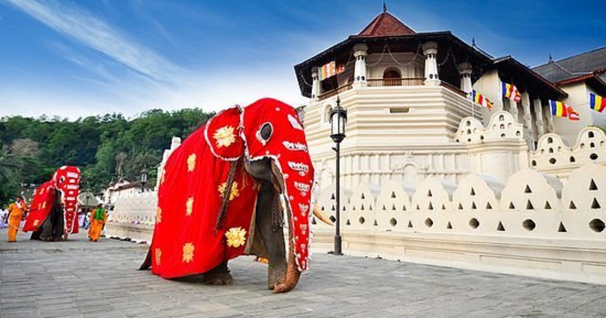 2 week travel itinerary sri lanka​