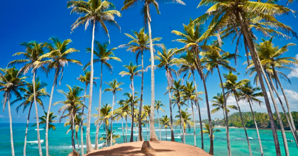 Best time to travel to sri lanka