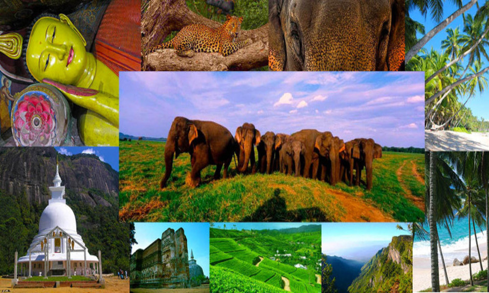 Sri Lanka three-day tour package