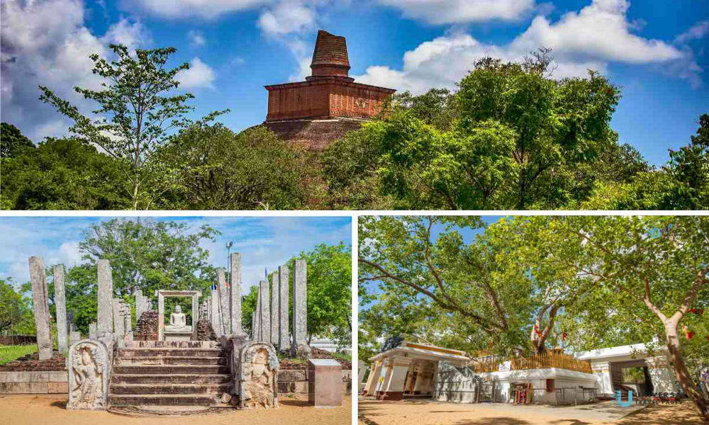 Sri Lanka's Cultural Tourism