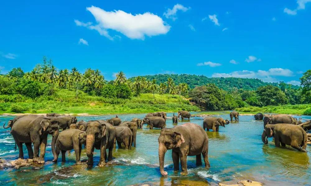 best time to visit sri lanka tourism
