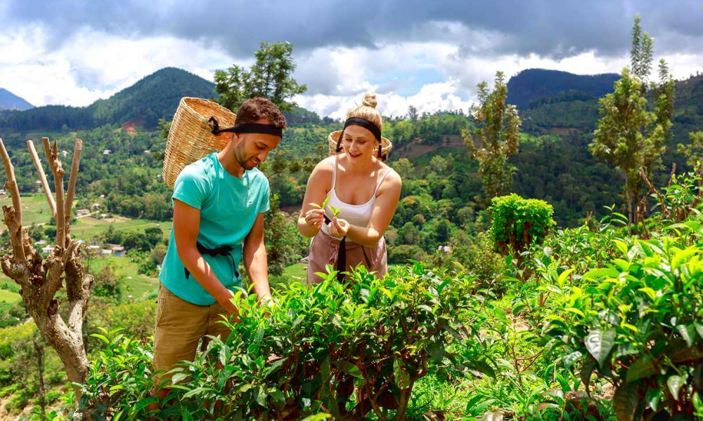 best time to visit sri lanka tourism