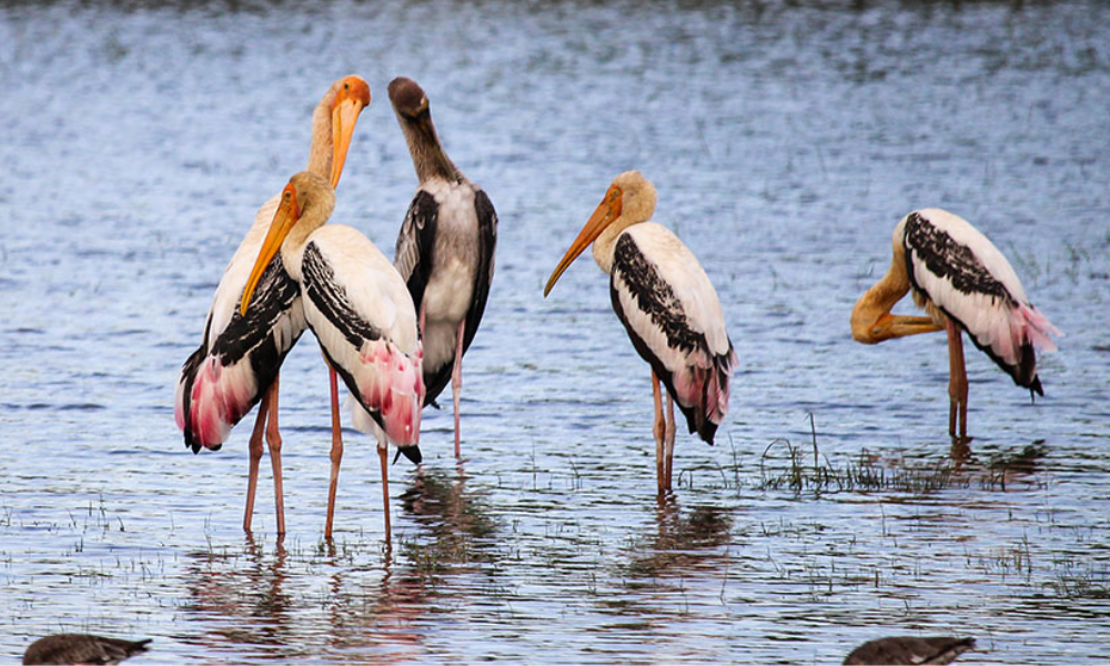 Sri Lanka Tourism Places