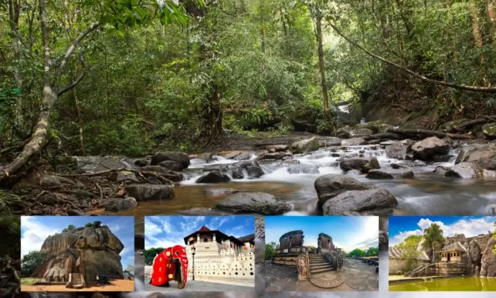 Why Sri Lanka Is Famous for Tourism