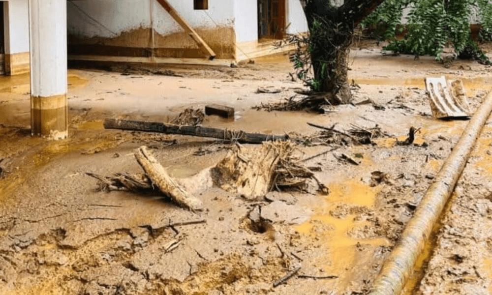 How Cyclone Ditwah Affected Sri Lanka Tourism