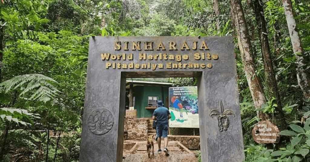 sinharaja forest in sri lanka travel