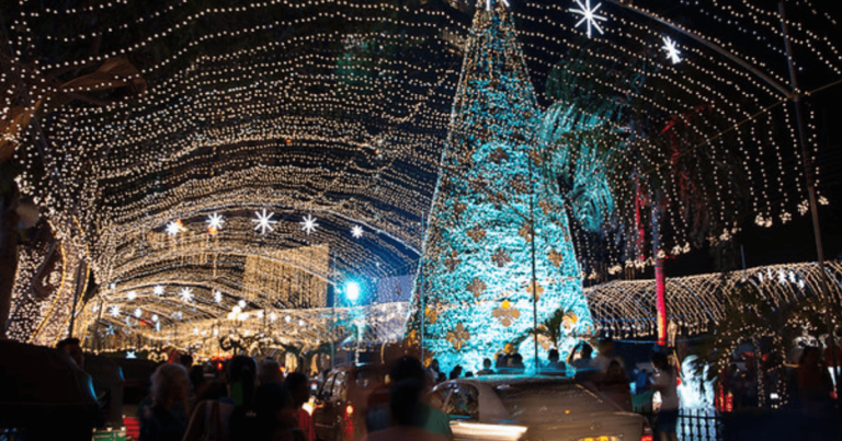 How to Christmas Celebration in Sri Lanka 2025