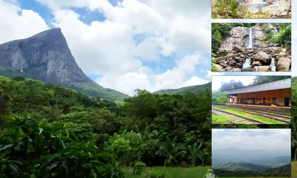 Why Tourists Come to Sri Lanka