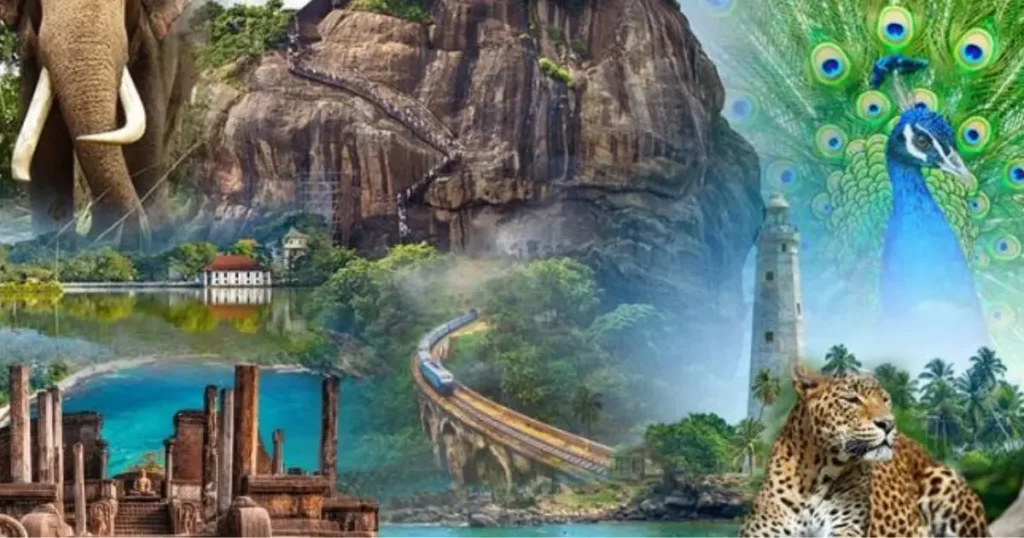 Why Sri Lanka Is a Popular Place for Tourists