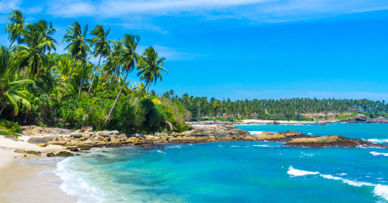 Best Tour Packages from Sri Lanka