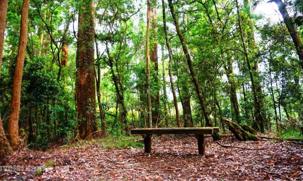 Discover 3 Places in Nuwara Eliya