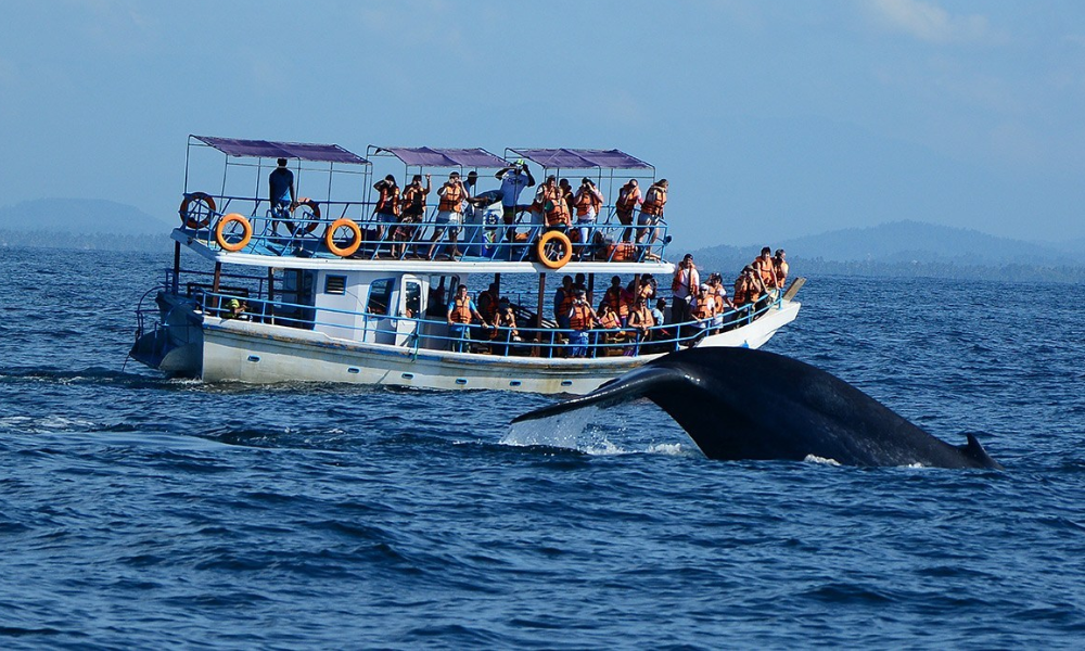 Beautiful Places in Sri Lanka for One Day Trip