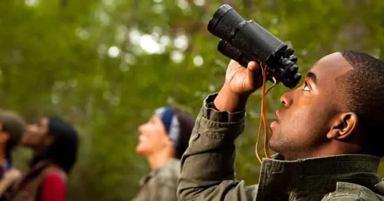 How To Become a Tour Guide in 4 Steps