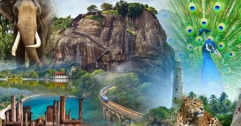 Sri Lanka Travel Trends For 2026