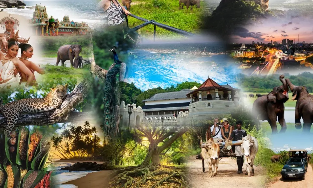 Latest Tourist Arrivals Sri Lanka 2026