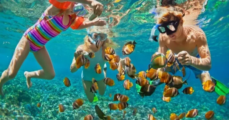 Top Places to Visit in Sri Lanka with Family