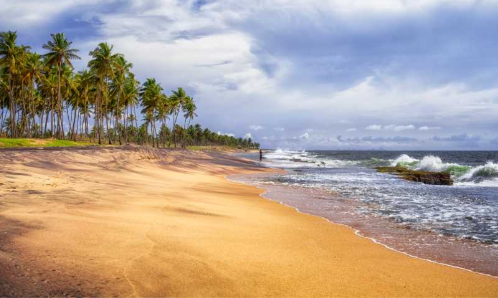 Top Places to Visit in Negombo