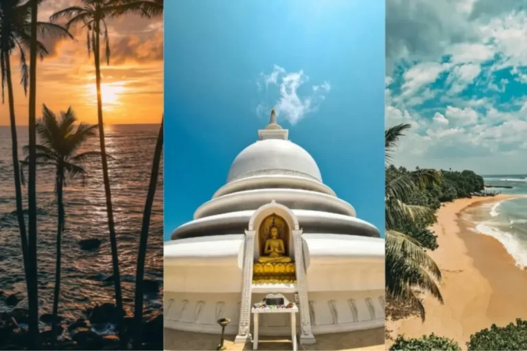 How to Visit the Best Things to Do in Colombo