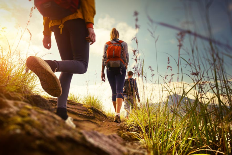 Best Hiking Trails in Sri Lanka