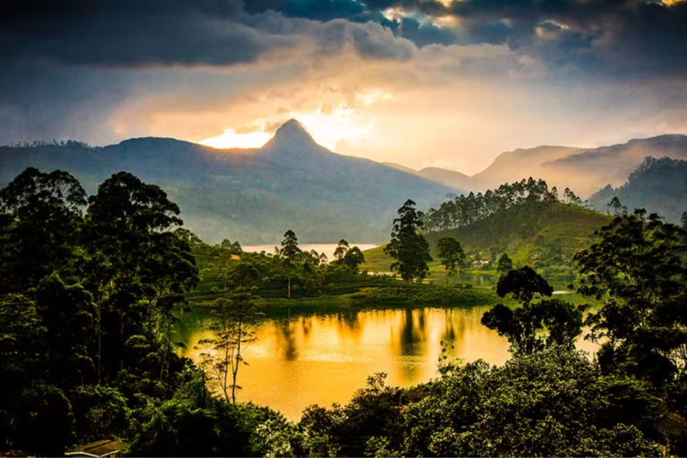 Best Nature Experiences in Sri Lanka