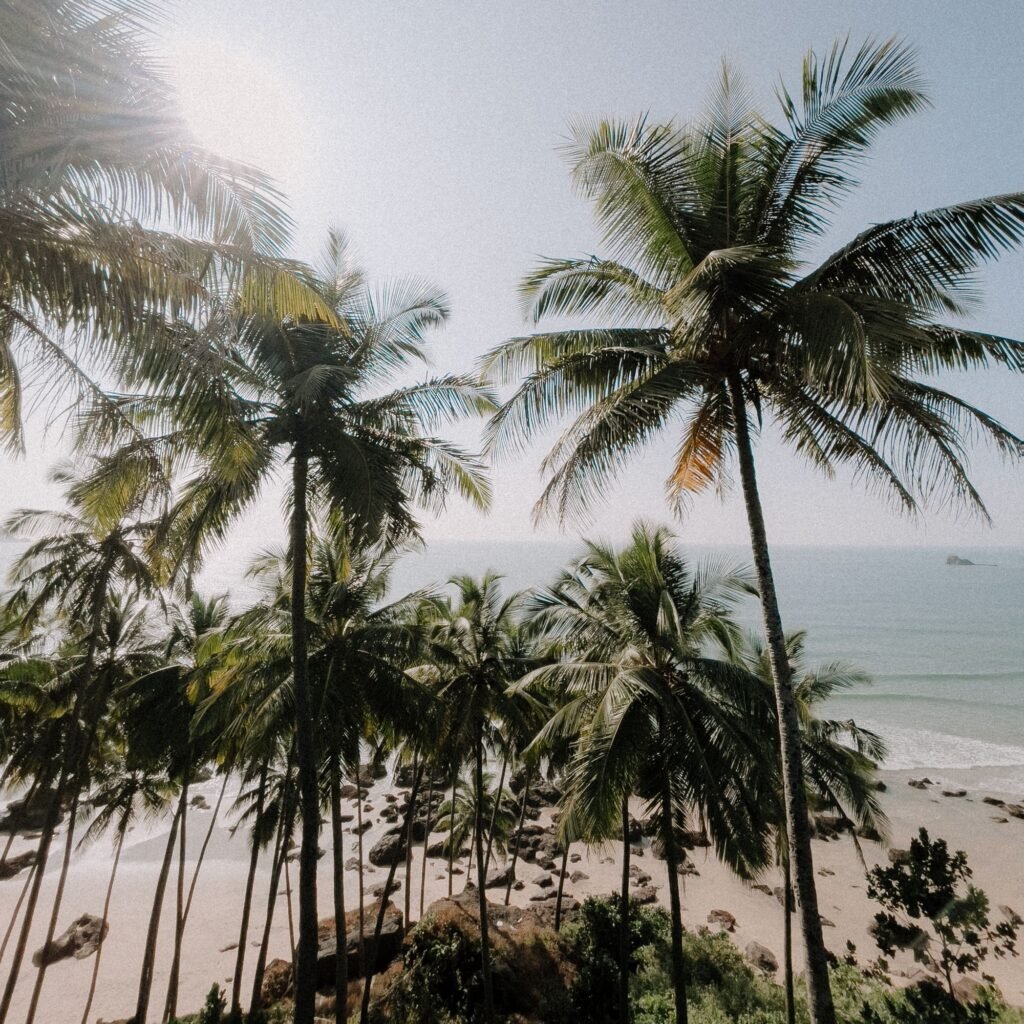 Idyllic tropical beach scene with palm trees and ocean on a sunny day.